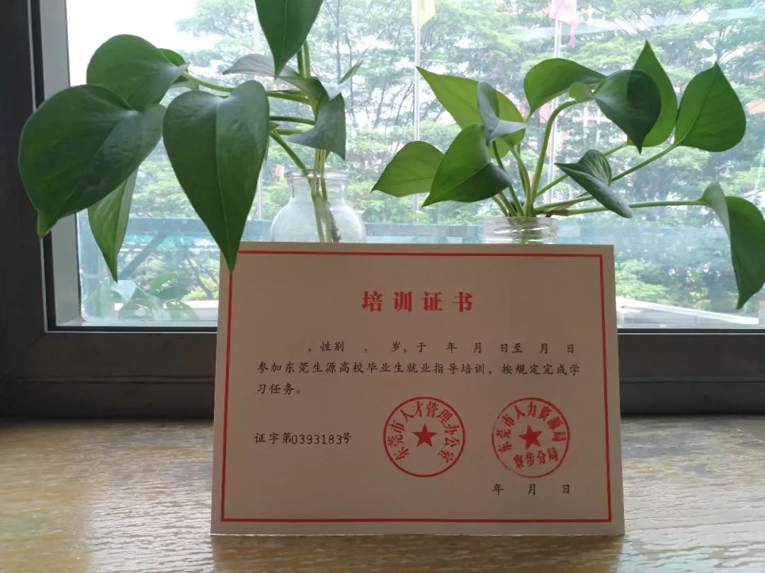 北京理工大学较高收费毕业证一样吗