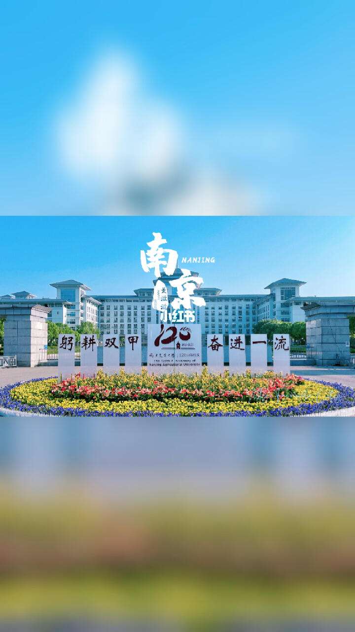 南京农业大学网上办事大厅
