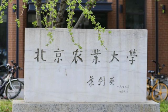 中国农业大学2024录取分数线