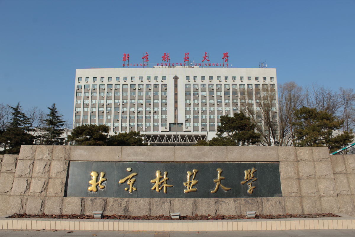 北京林业大学毕业证每年什么时间发