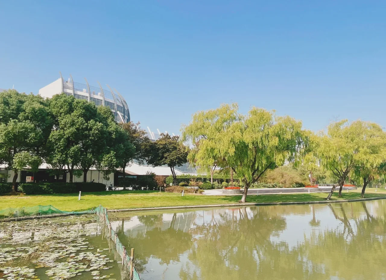 东华大学王牌专业