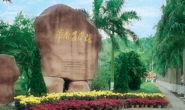 华南农业大学全国排名