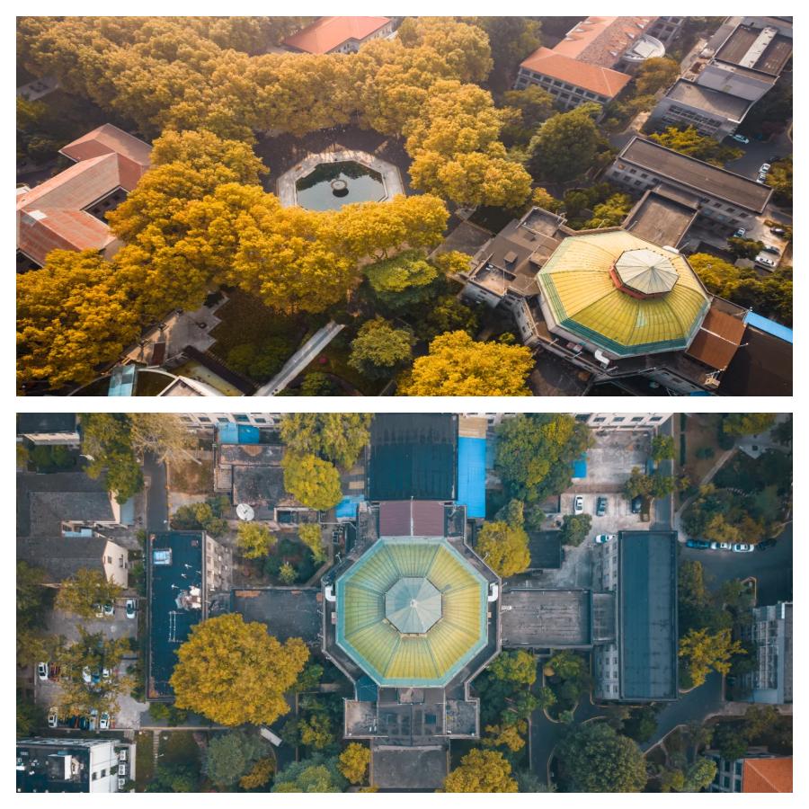 东南大学a类学科