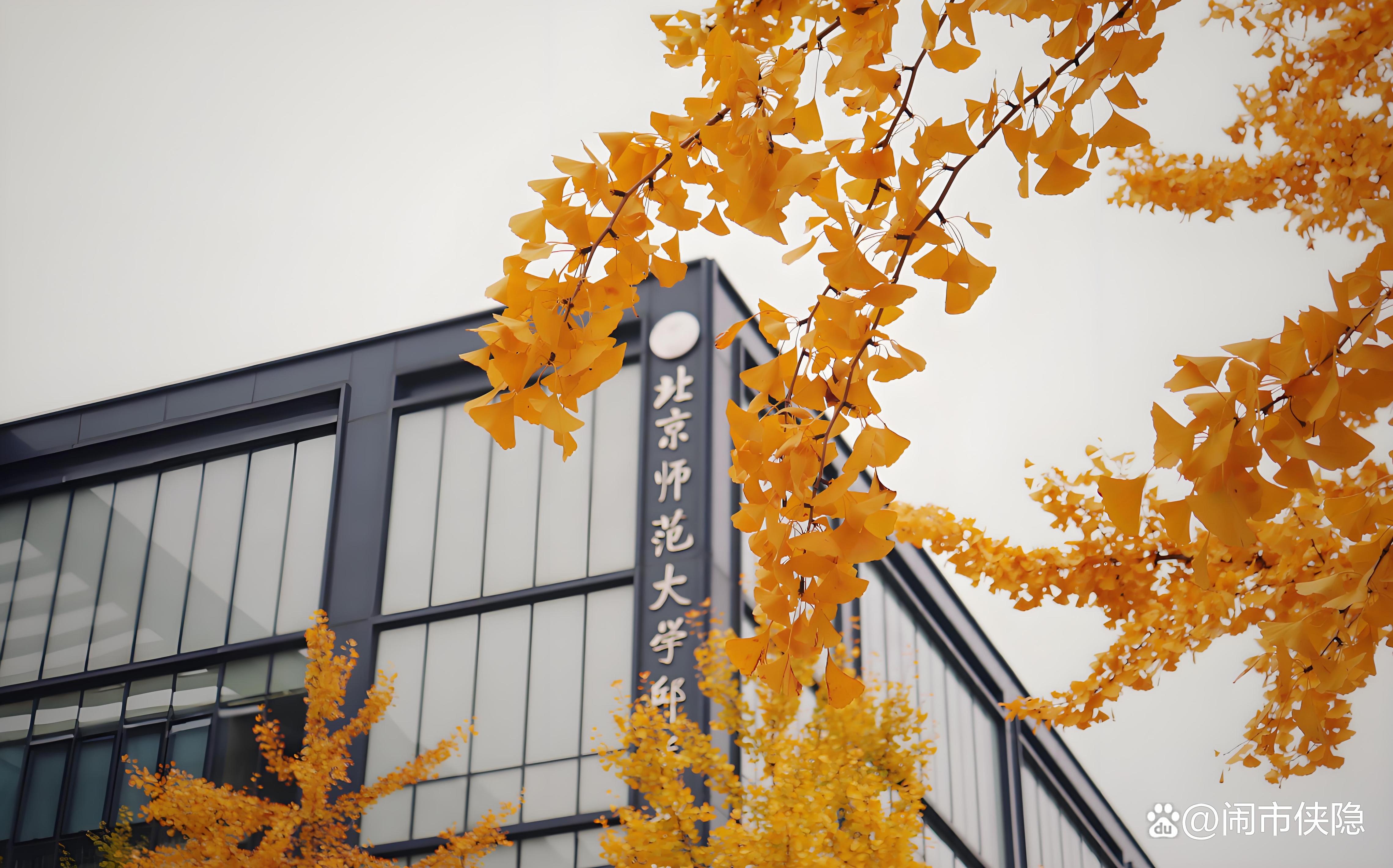 北京师范大学研究生招生网