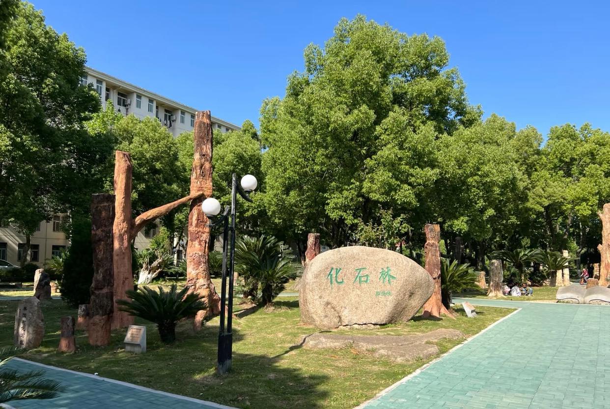 中国地质大学在哪里